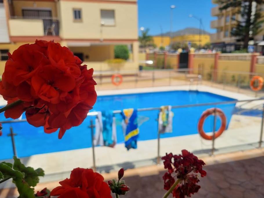 El Rincon De Eli Apartment รินกอนเดลาวิกตอเรีย ภายนอก รูปภาพ